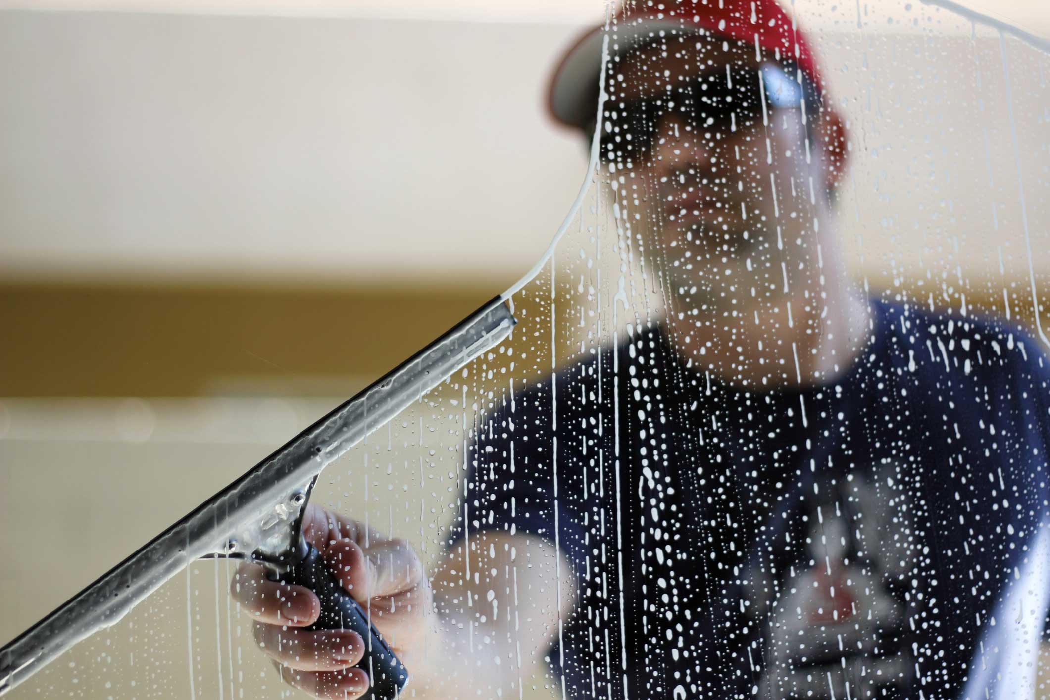 Window Cleaning Service